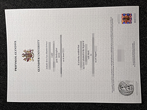 Glyndwr University degree copy