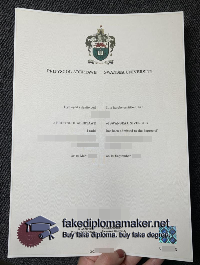 Swansea University degree