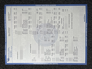 UB transcript copy