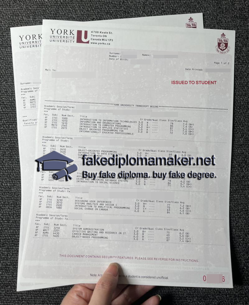 York University transcript