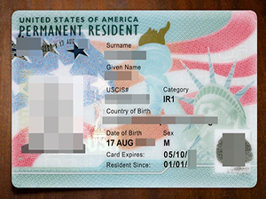 green card USA copy