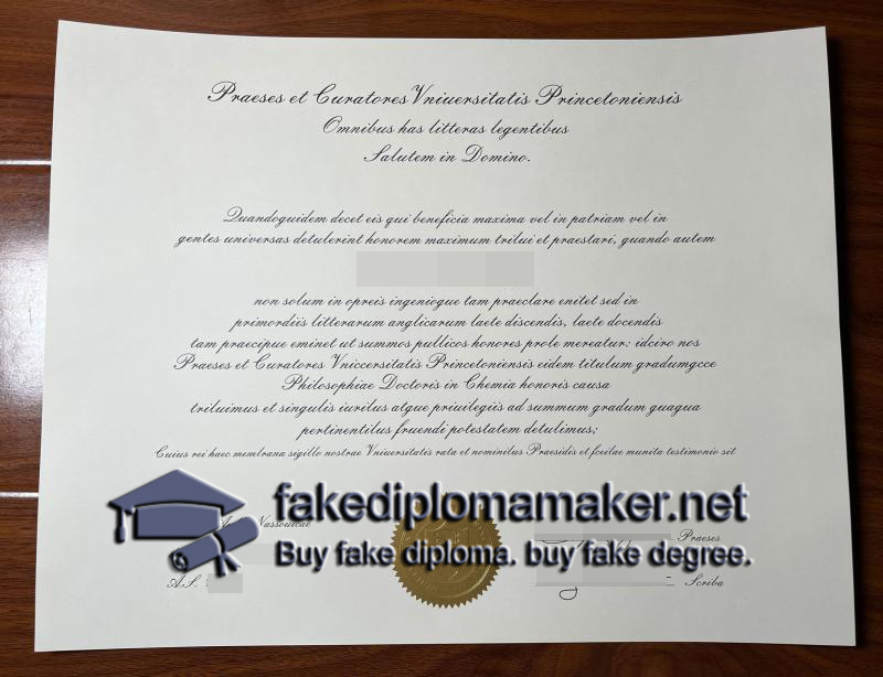 master degree Princeton University