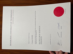 SUT degree copy