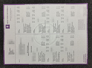 New York University transcript copy