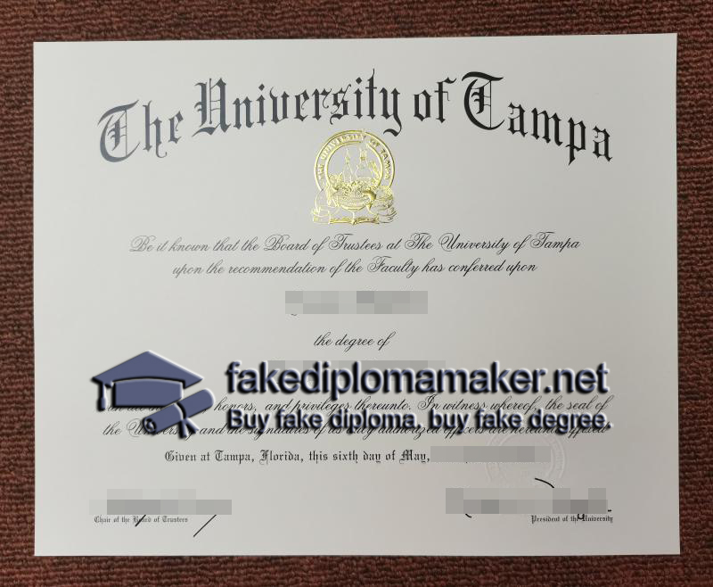 University of Tampa diploma