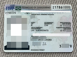 Italy Permanent Residence copy