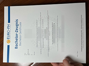 Euro-FH bachelor certificate copy
