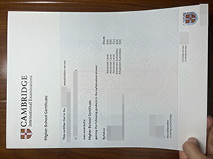 Cambridge A Level Certificate copy