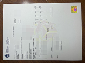 Cardiff Metropolitan University Transcript copy