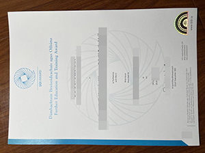 QQI AWARDS Certificate replica