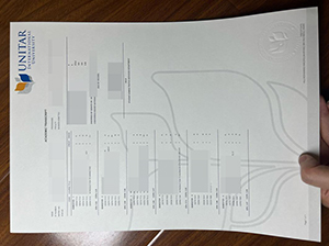 UNITAR Transcript copy