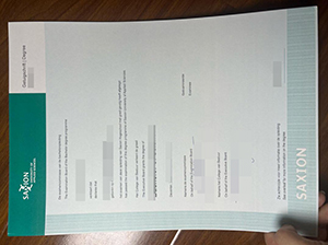Hogeschool Saxion Getuigschrift replica