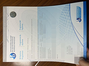 IB diploma replica