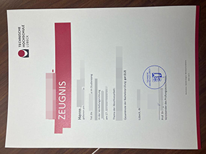 Technische Hochschule Lübeck Zeugnis-1