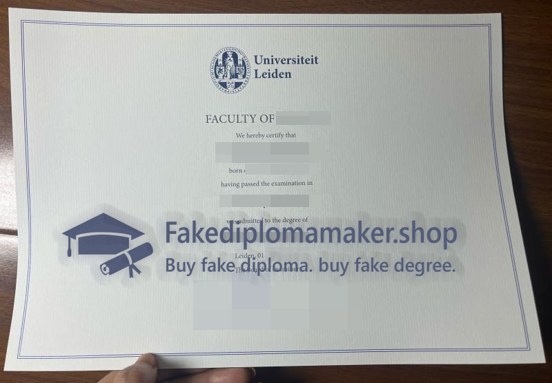 Universiteit Leiden diploma